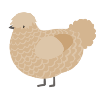 Second true orphan, a beige chicken with a lace pattern