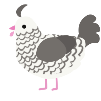 A white and grey chicken with a lace pattern