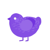 Birthday, a blurple chicken with a half-lace pattern