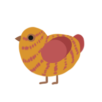 Lucius, a orange and red chicken with a speckle pattern