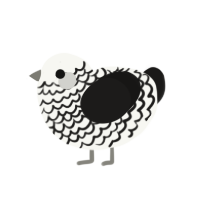 (unnamed), a white and sable chicken with a lace pattern