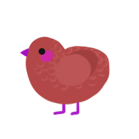 Brick, a red chicken with a half-lace pattern