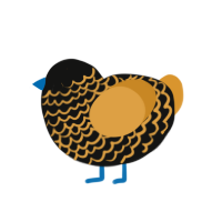 Phecda, a black and orange chicken with a lace pattern