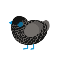 Sandman, a black and grey chicken with a lace pattern