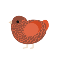 (unnamed), a russet and vermilion chicken with a lace pattern