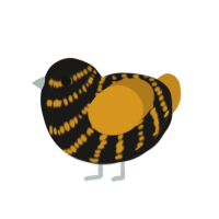 (unnamed), a sable and ochre chicken with a bar pattern