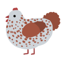 Guchan, a mist and russet chicken with a speckle pattern