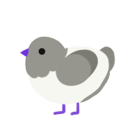 (unnamed), a white and ash chicken with a head pattern