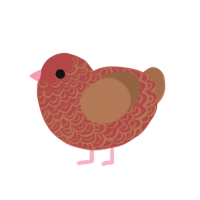 Yong, a red and brown chicken with a double-lace pattern