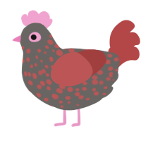 Bacon, a grey and red chicken with a speckle pattern