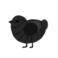 Hades, a mist chicken with a bar pattern