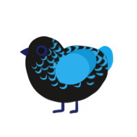 Tersyn, a sable and sky chicken with a half-lace pattern