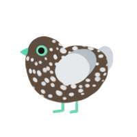 Mint chocolate chip, a bark and mist chicken with a speckle pattern