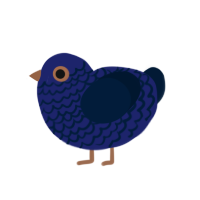 (unnamed), a navy and tumblr chicken with a lace pattern