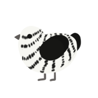 Over and Out, a white and black chicken with a bar pattern