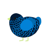 Neptune, a tumblr and sapphire chicken with a lace pattern