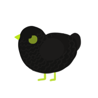 ācid, a black and sable chicken with a lace pattern