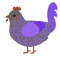 Micci, a grey and blurple chicken with a double-lace pattern