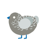 City Pigeon, a ash and silver chicken with a half-lace pattern