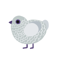 Ash, a silver and mist chicken with a lace pattern