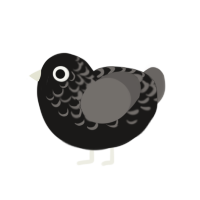 Sliver, a sable and grey chicken with a half-lace pattern