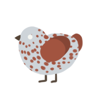 Choc, a mist and russet chicken with a speckle pattern