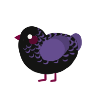 (unnamed), a black and overcast chicken with a half-lace pattern