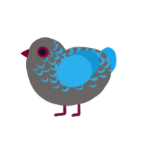 (unnamed), a grey and sky chicken with a half-lace pattern