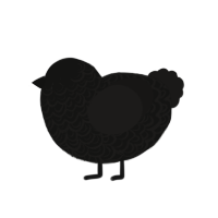 Centaurus A, a black and sable chicken with a double-lace pattern