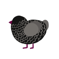 milanesa, a black and grey chicken with a lace pattern