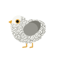 (unnamed), a white and ash chicken with a double-lace pattern