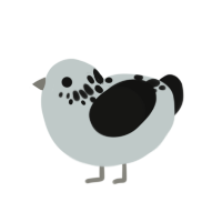 Charcoal, a silver and black chicken with a neck-speckle pattern