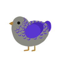 (unnamed), a ash and indigo chicken with a half-lace pattern