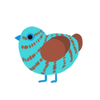 (unnamed), a aqua and russet chicken with a bar pattern