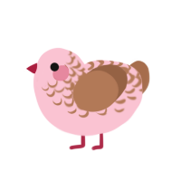 Rikkakuma, a rose and brown chicken with a half-lace pattern