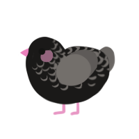 (unnamed), a sable and grey chicken with a half-lace pattern