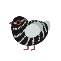 The Nightmare, a sable and silver chicken with a head pattern