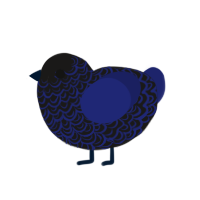 deep sea, a sable and navy chicken with a double-lace pattern