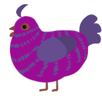 berry, a plum and overcast chicken with a bar pattern