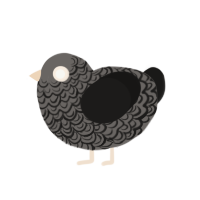 (unnamed), a grey and sable chicken with a double-lace pattern