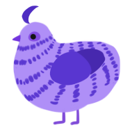 Lil, a lilac and indigo chicken with a bar pattern