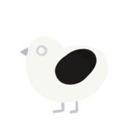 Dottie, a white and sable chicken