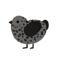 (unnamed), a grey and sable chicken with a speckle pattern