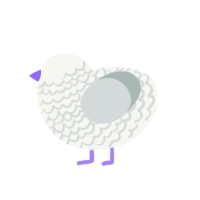 (unnamed), a white and silver chicken with a lace pattern