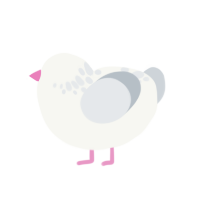 cotton swab, a white and mist chicken with a neck-speckle pattern