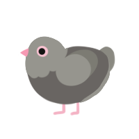 pidgeon, a grey and ash chicken with a head pattern