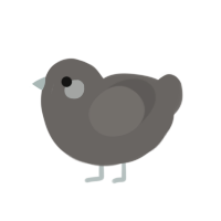 concrete, a grey chicken