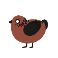 espresso bean, a russet and sable chicken with a neck-speckle pattern