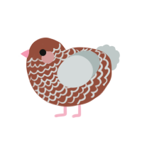 (unnamed), a russet and silver chicken with a lace pattern