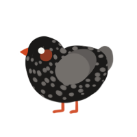 (unnamed), a sable and grey chicken with a speckle pattern